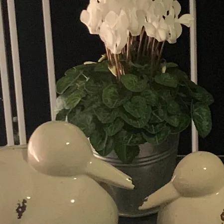 アパート Domizil Am Dom トリーア