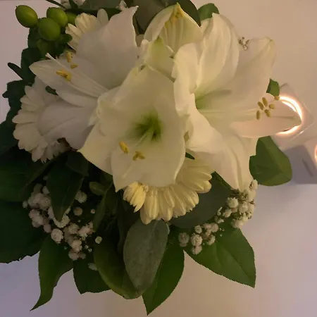 Apartman Domizil Am Dom