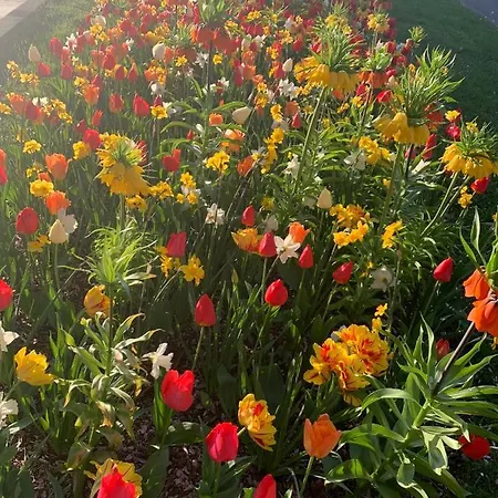 アパート Domizil Am Dom *