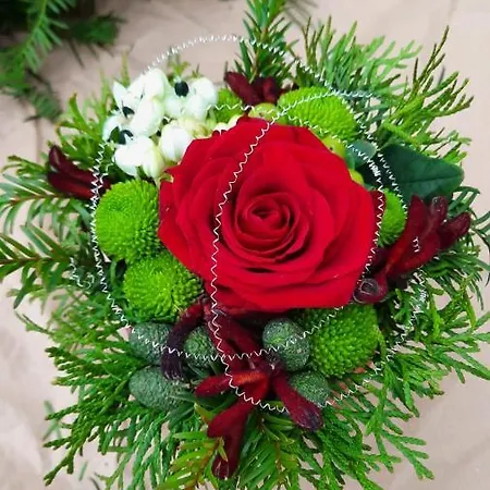 Domizil Am Dom トリーア