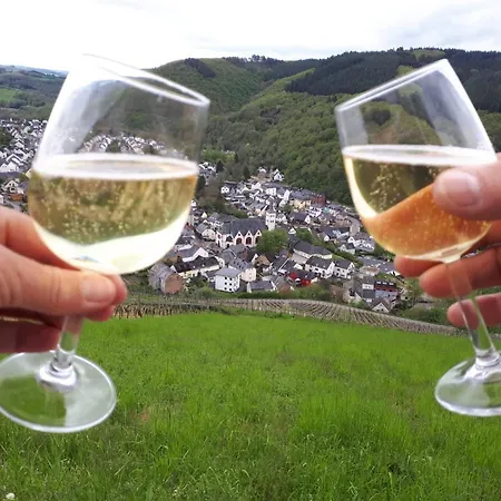 Domizil Am Dom *
