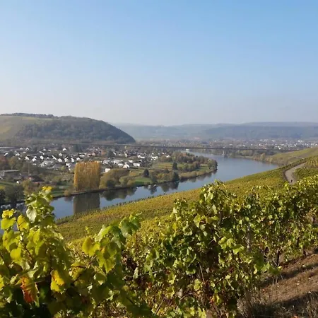 Domizil Am Dom Trier