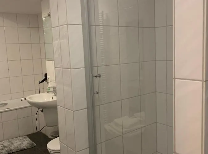 피보 도미질 암 돔