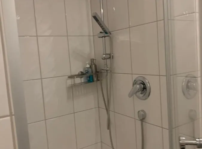 피보 도미질 암 돔 *