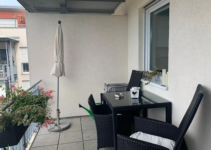 피보 도미질 암 돔