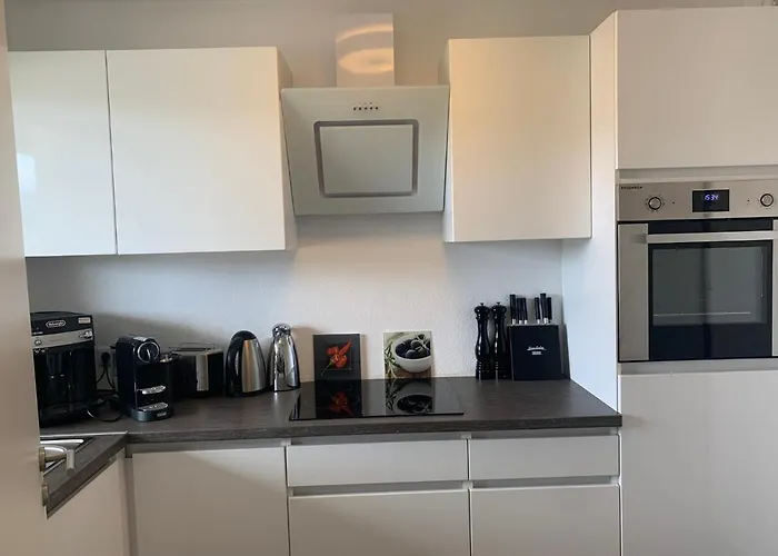 피보 도미질 암 돔 * 트리어