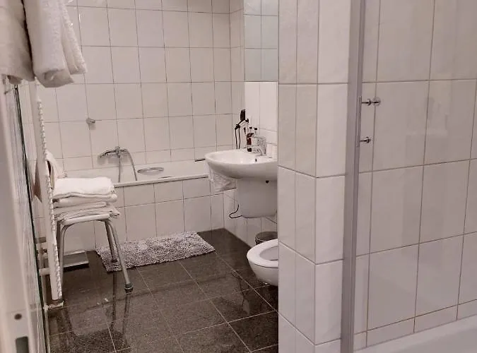 피보 도미질 암 돔 트리어