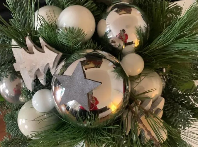 피보 도미질 암 돔 아파트 *