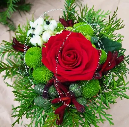 Domizil Am Dom Trier