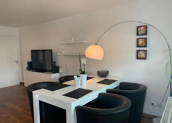 피보 도미질 암 돔