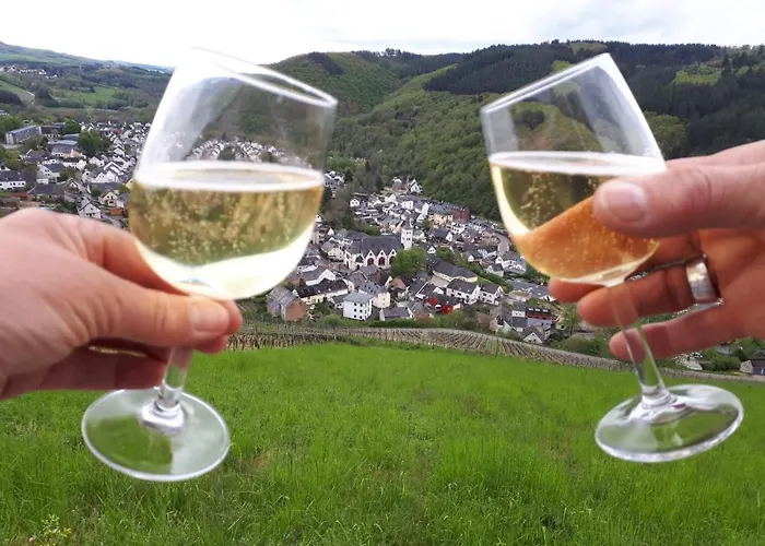 피보 도미질 암 돔 *