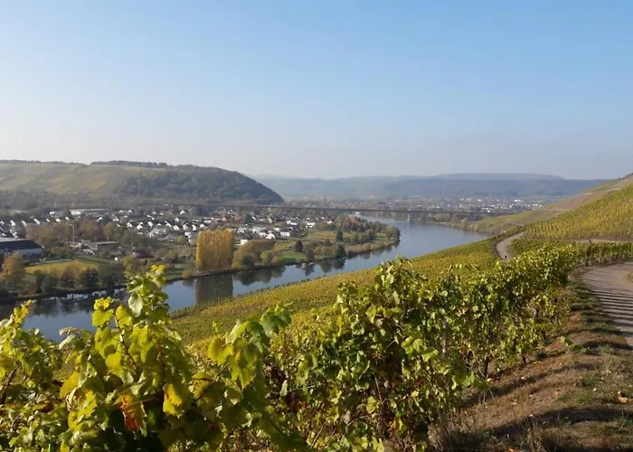 Domizil Am Dom Trier