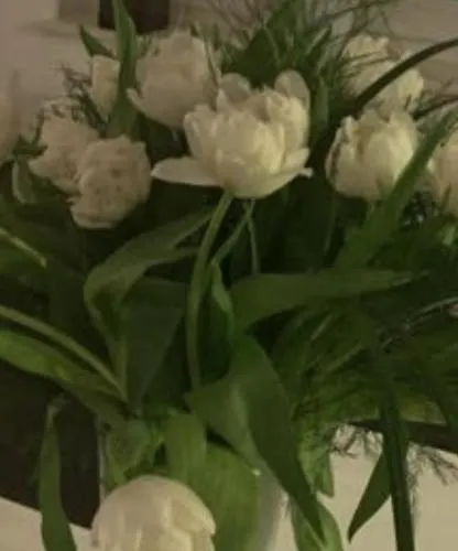 Apartman Domizil Am Dom *