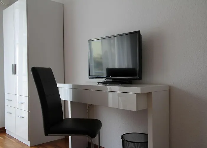 피보 도미질 암 돔 트리어