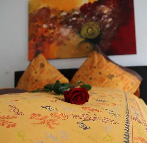 피보 도미질 암 돔 트리어